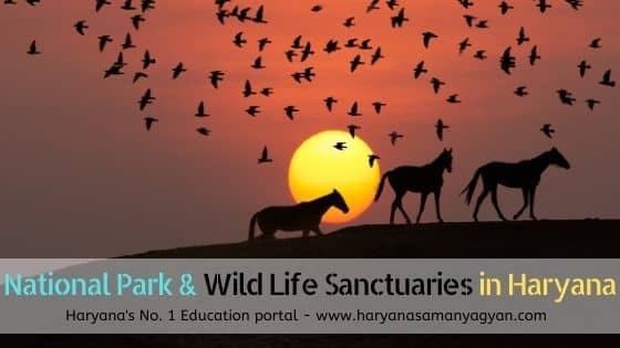 List of National Park & Wild Life Sanctuaries in Haryana - हरियाणा में वन्य जीव संस्थान