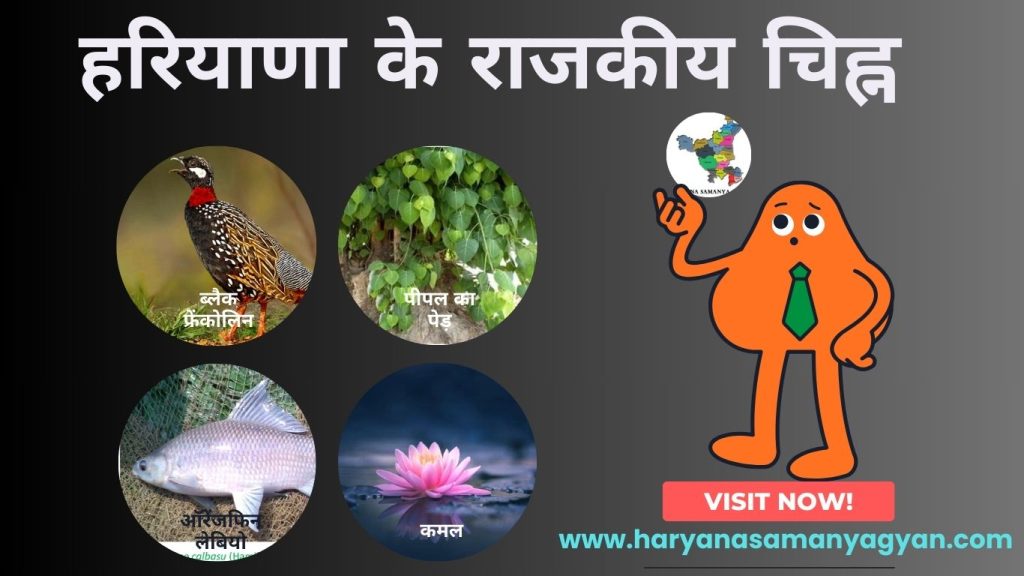 Haryana State's Emblems