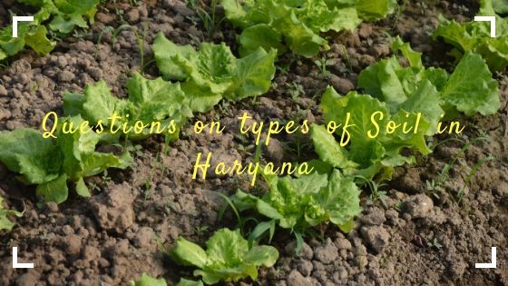 Questions on types of Soil in Haryana